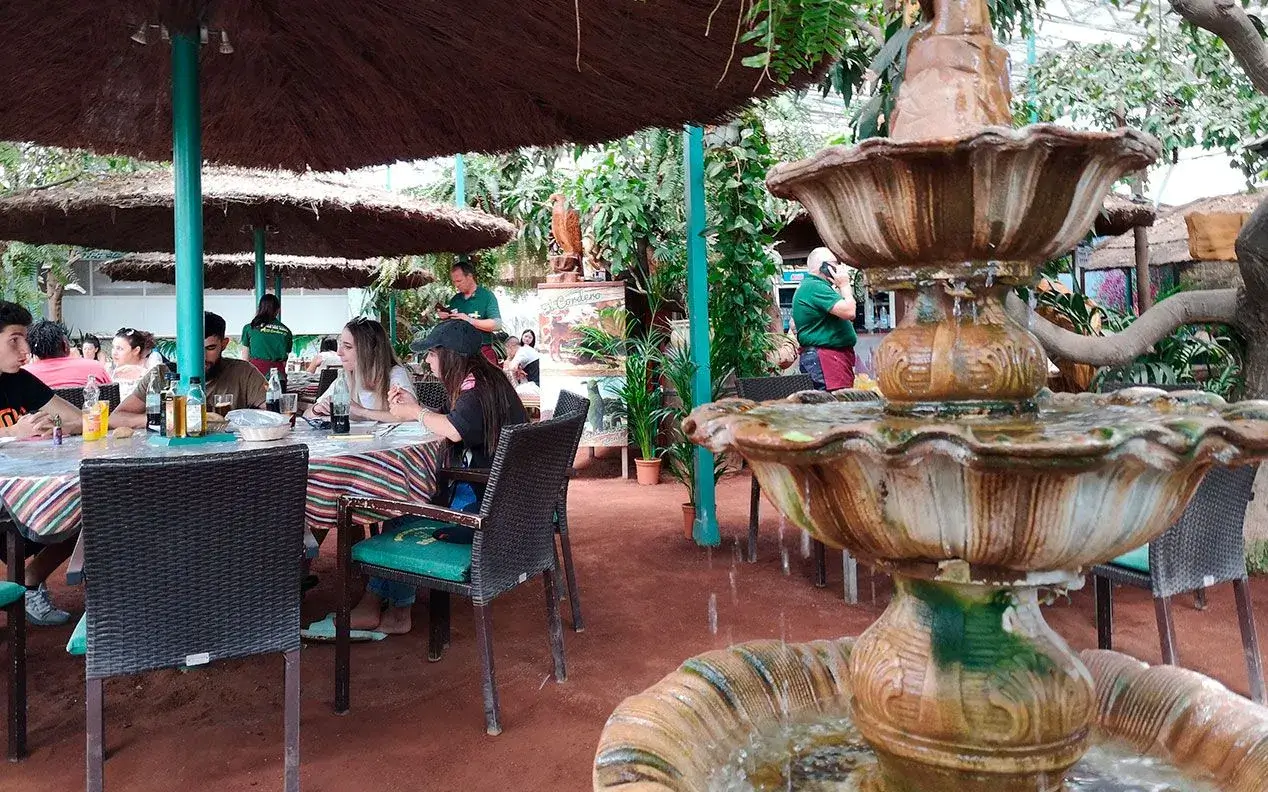 Gastronomy San Miguel de Abona