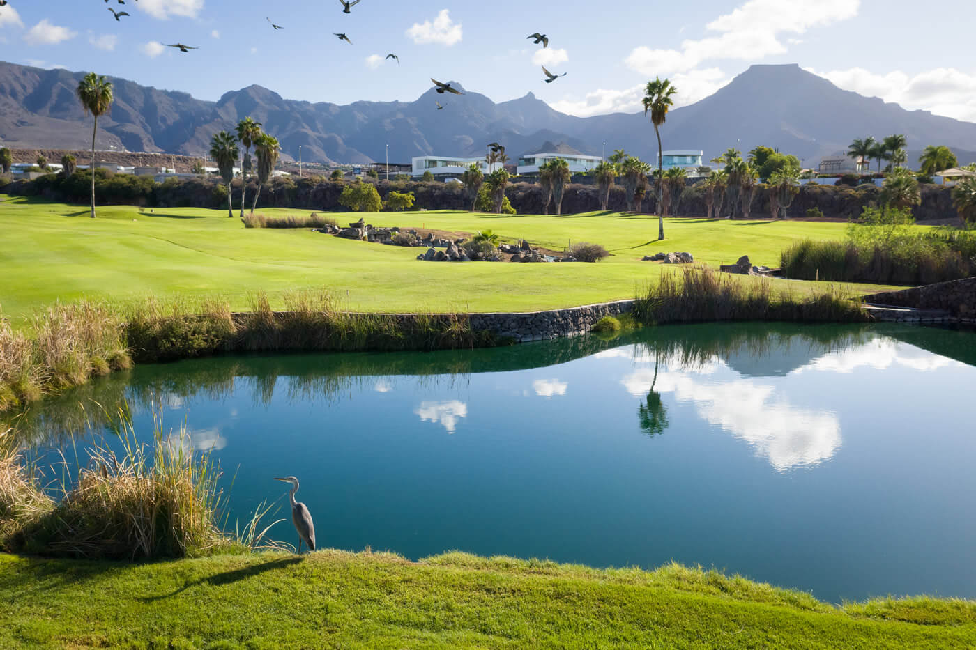 Golf Costa Adeje