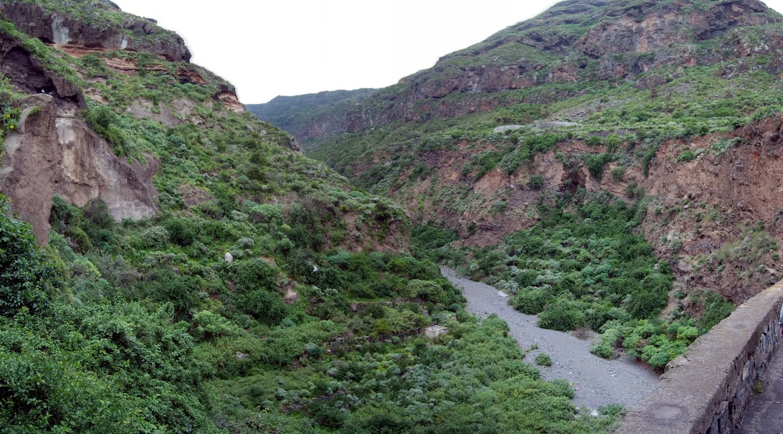 Los Campeches Realejos