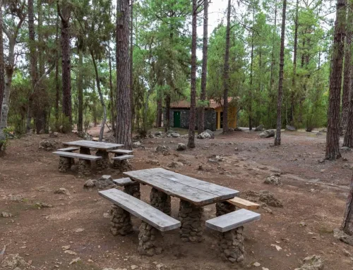 Complete Guide to Campsites in Tenerife (Best Options)