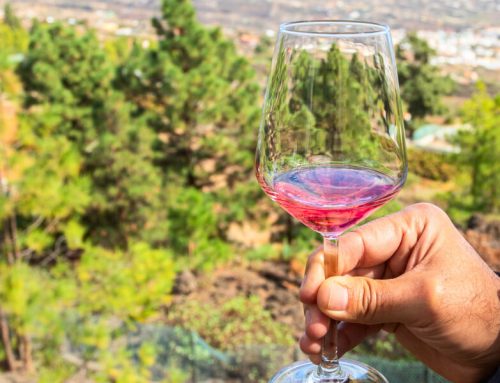 Wine Tours in Tenerife – Discover the Best Wineries